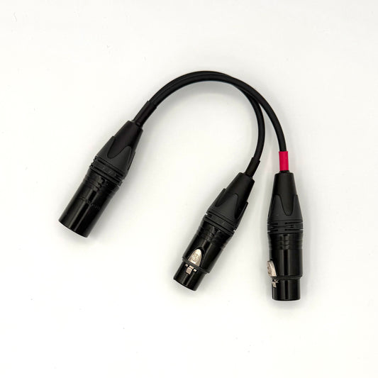 XLR Male - Dual XLR Female